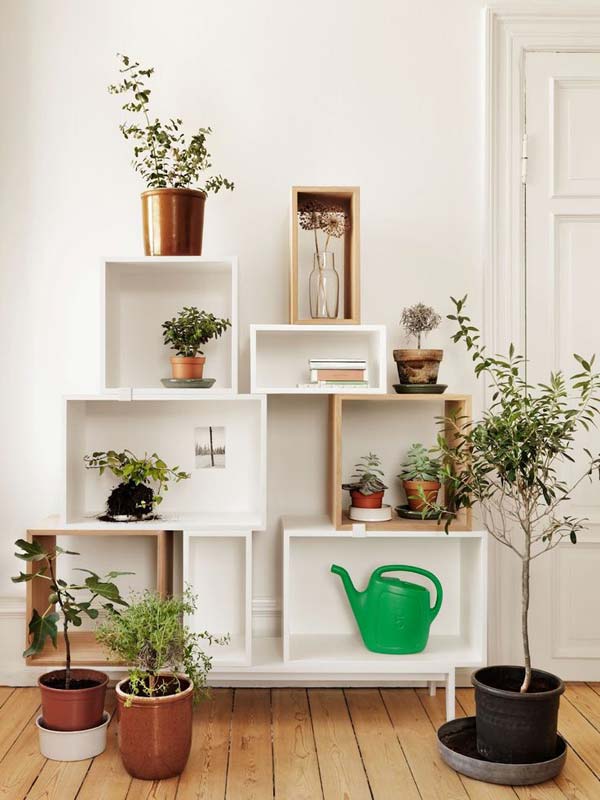 jardins-para-o-interior-das-casas-6