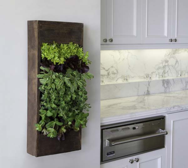 jardins-para-o-interior-das-casas-7