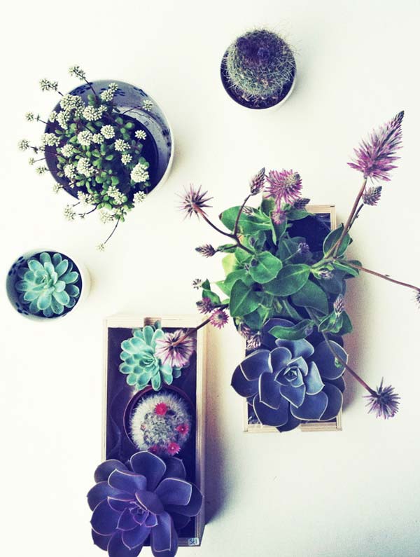 jardins-para-o-interior-das-casas-9
